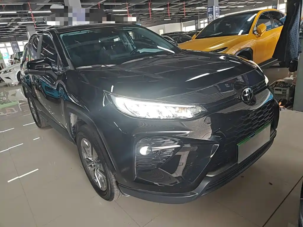 Wildlander 2.0 L CVT 2 WD Leading