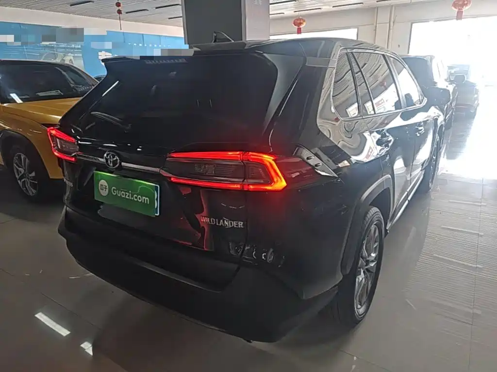 Wildlander 2.0 L CVT 2 WD Leading