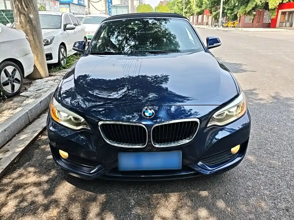 BMW 2 Series (Import) 218 i Convertible Coupe