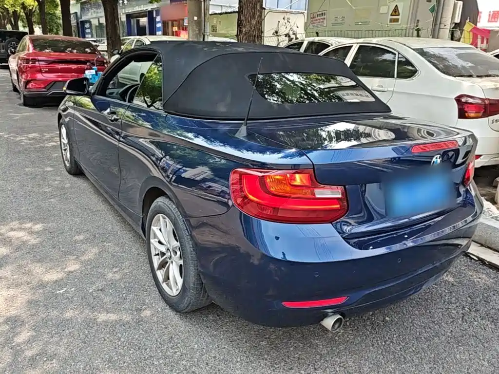 BMW 2 Series (Import) 218 i Convertible Coupe