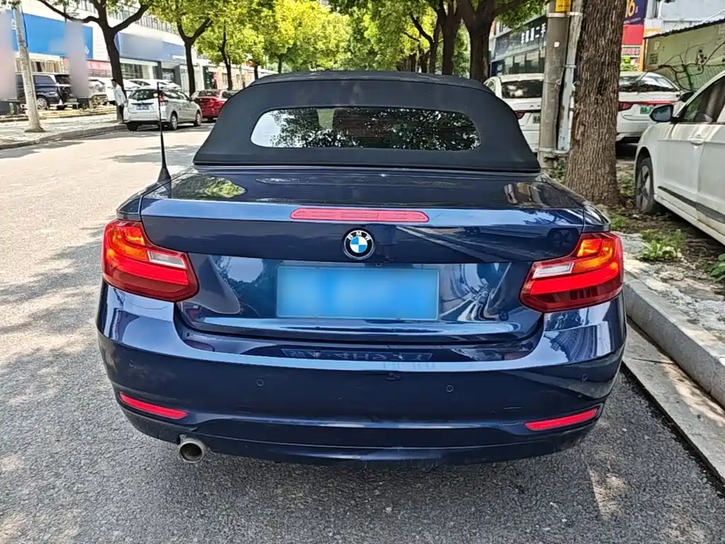 BMW 2 Series (Import) 218 i Convertible Coupe