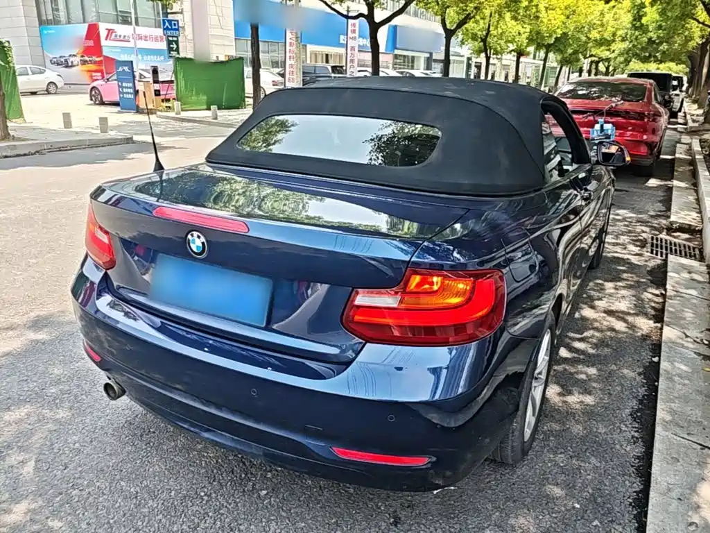 BMW 2 Series (Import) 218 i Convertible Coupe