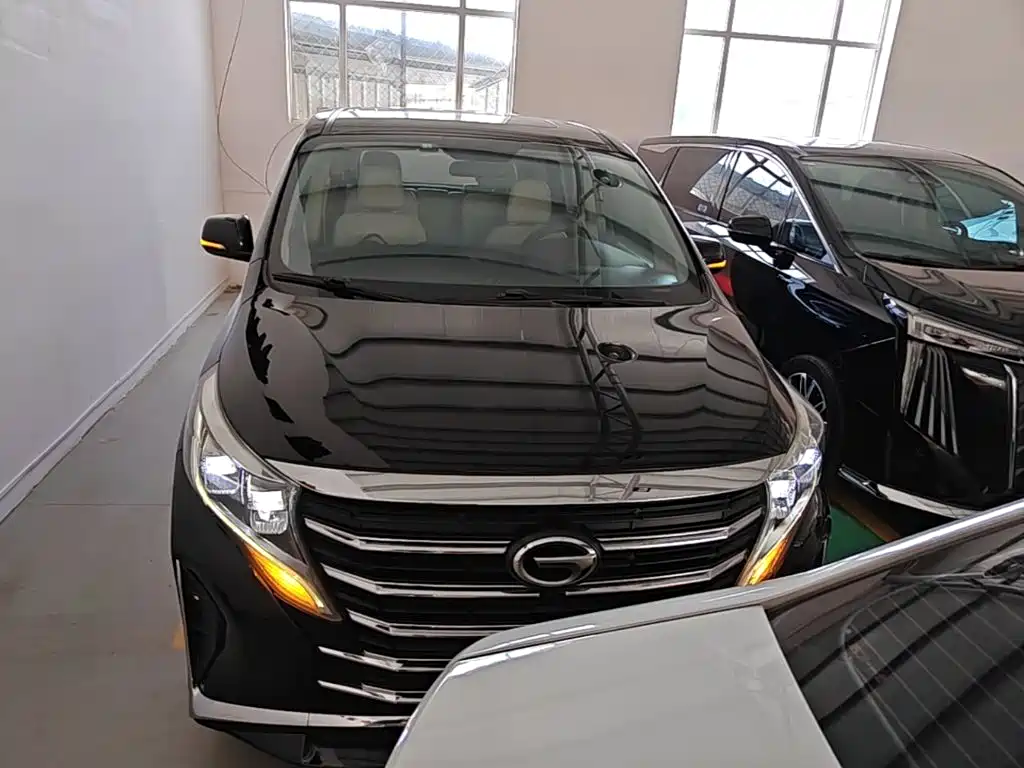 GAC Trumpchi M8 Leading Show Series 390 T Luxury
