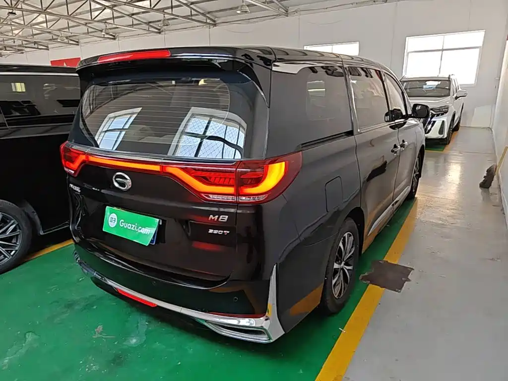 GAC Trumpchi M8 Leading Show Series 390 T Luxury