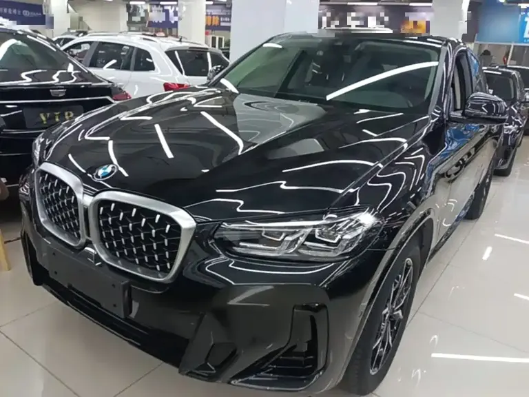 BMW X4 xDrive 25 i M Sport Package
