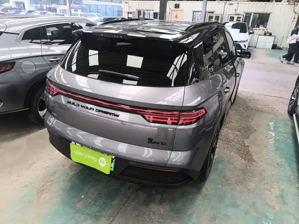 Song Pro NEV Champion DM-i 110 KM Transcend