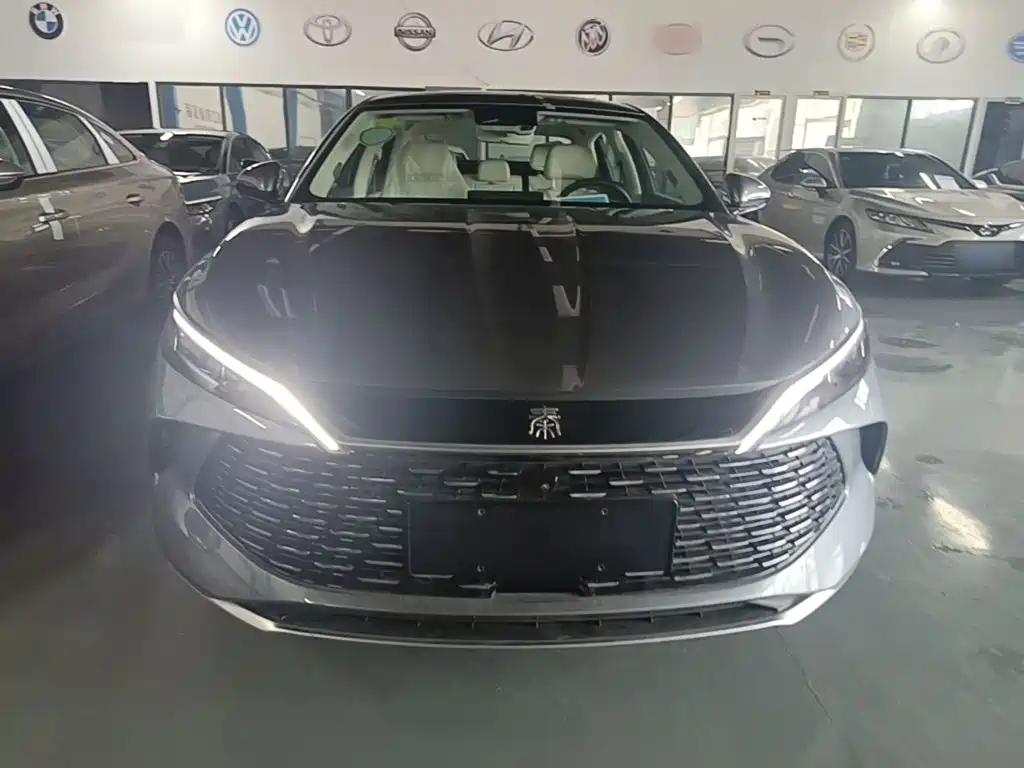 Qin L DM-i 120 KM Transcend