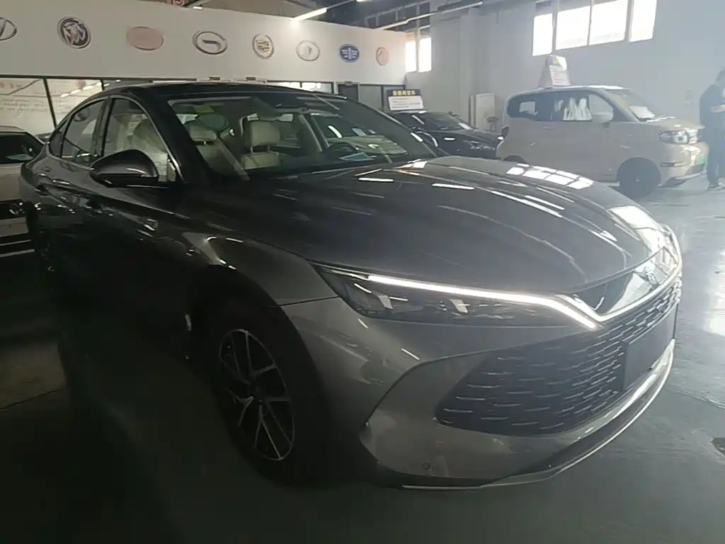 Qin L DM-i 120 KM Transcend