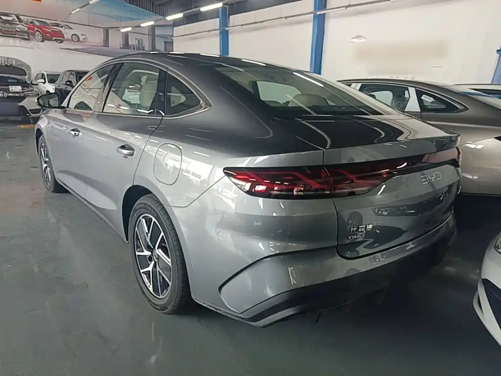 Qin L DM-i 120 KM Transcend