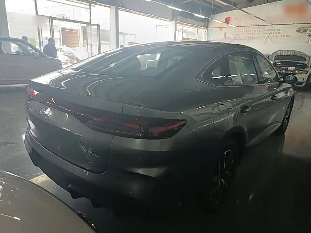 Qin L DM-i 120 KM Transcend