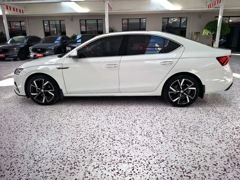 Octavia PRO TSI280 Premium