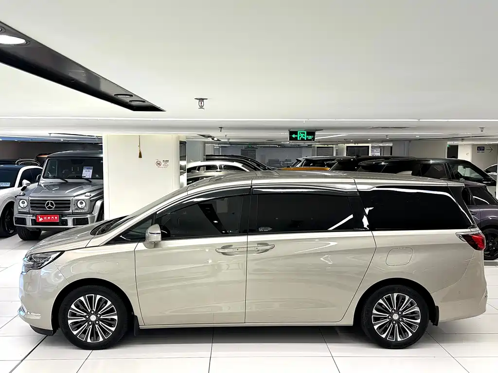 Buick GL8 ES LaCrosse 653 T Luxury