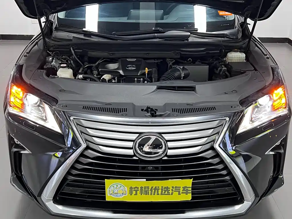 Lexus RX 300 2 WD Elite CN-V