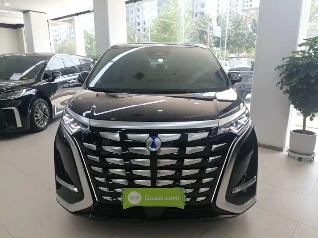 Denza D9 DM-i 980 4 WD Honored