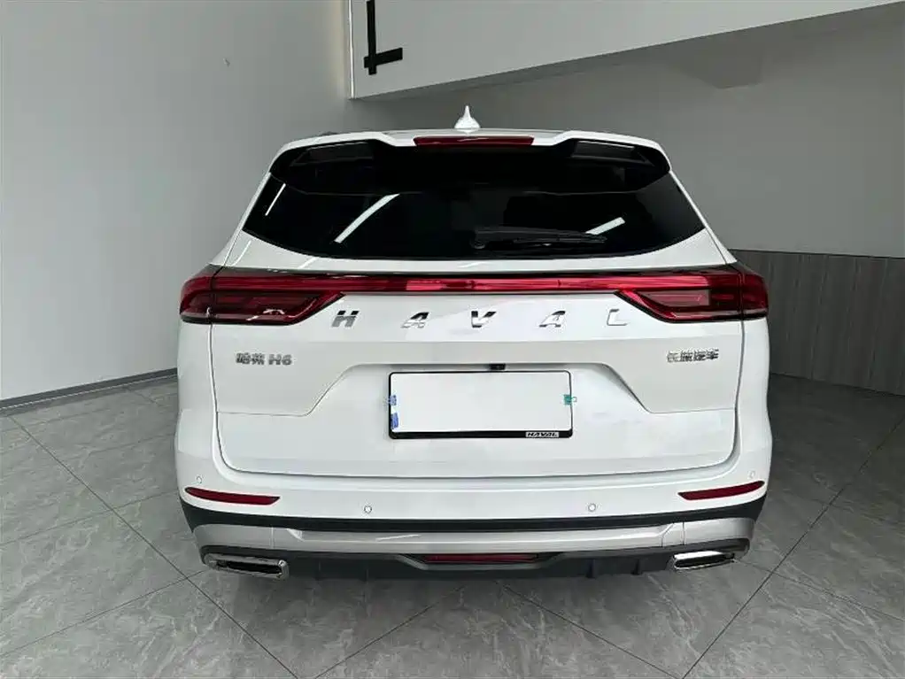 Haval H6 China Style 1.5 T Auto Champion