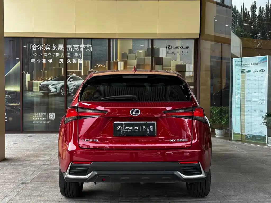 Lexus NX 雷克萨斯NX 2018款 300 h 全驱 锋致版 国V