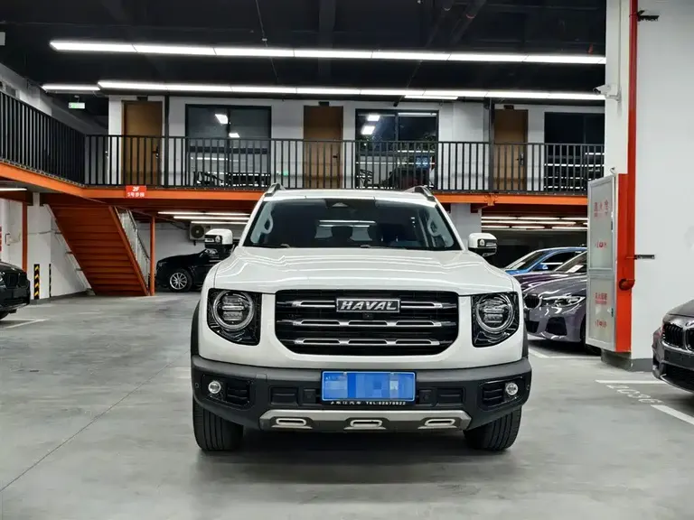 Haval Dargo 2.0 T DCT 4 WD Brilliance Country Dog