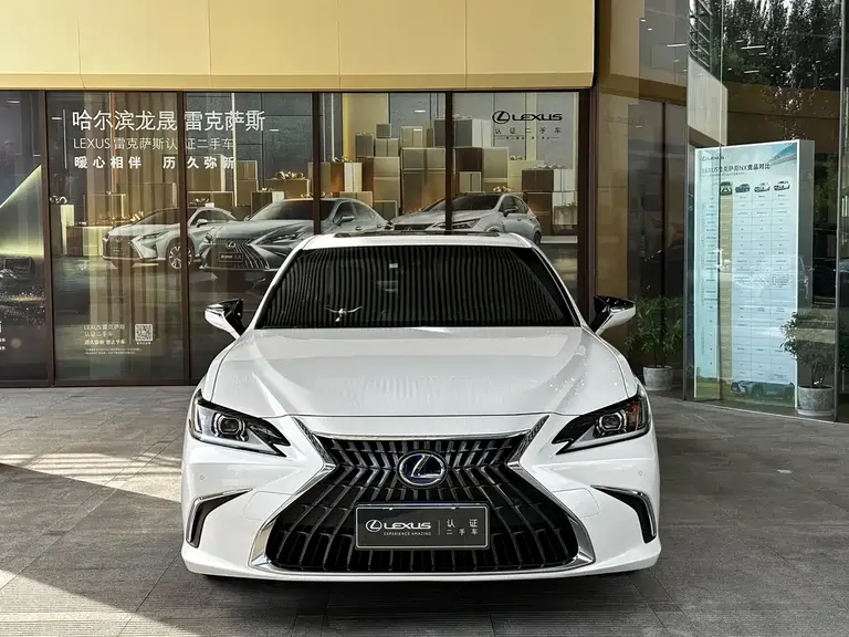 Lexus ES 300 h Outstanding