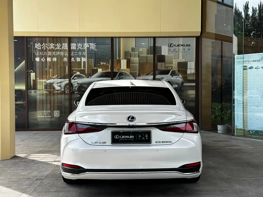 Lexus ES 300 h Outstanding