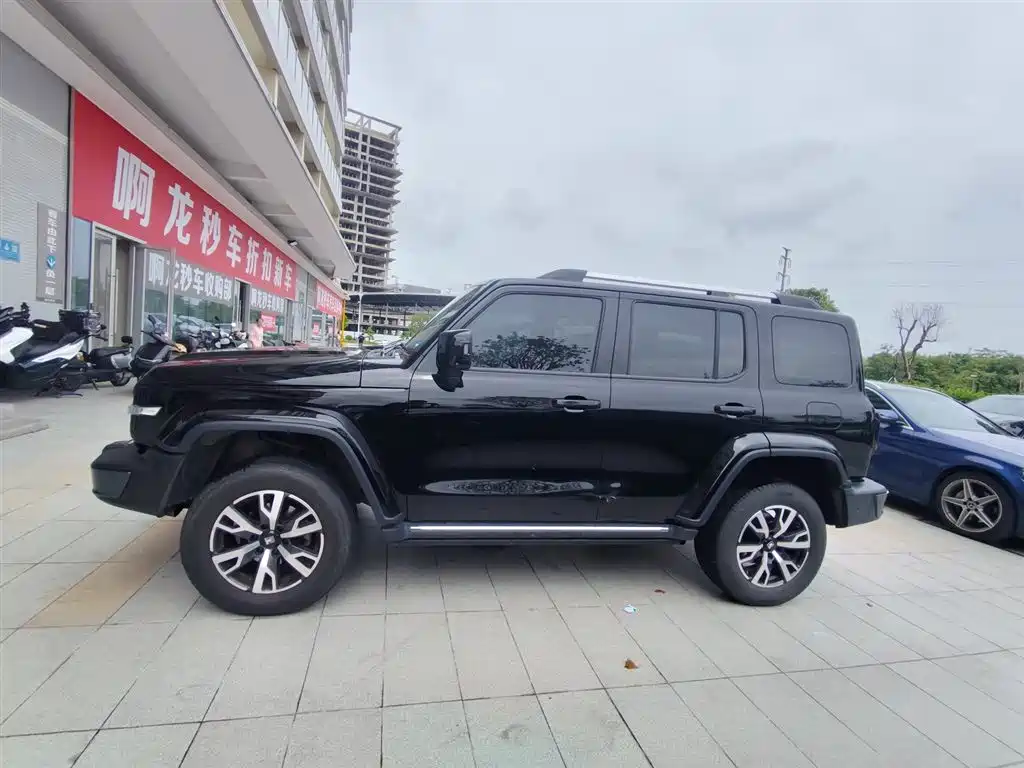 Tank 300 坦克300 2021款 城市版 2.0 T 必须型