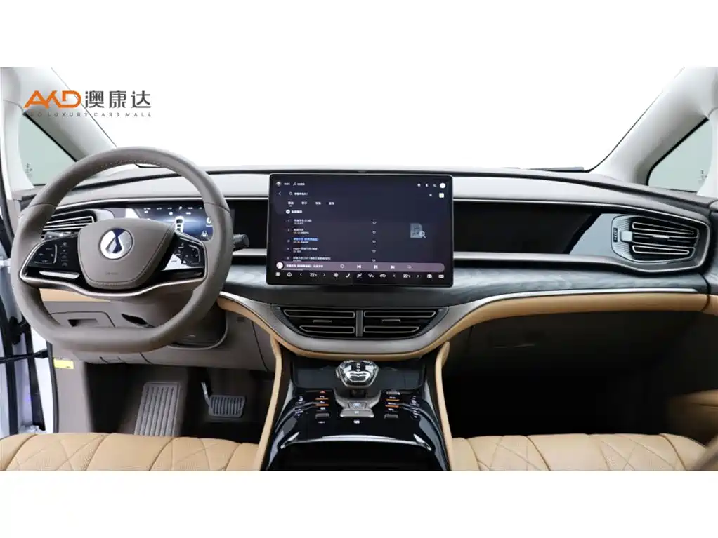 Denza D9 腾势D9/1.5 T/22款/DM-i 1040尊贵型