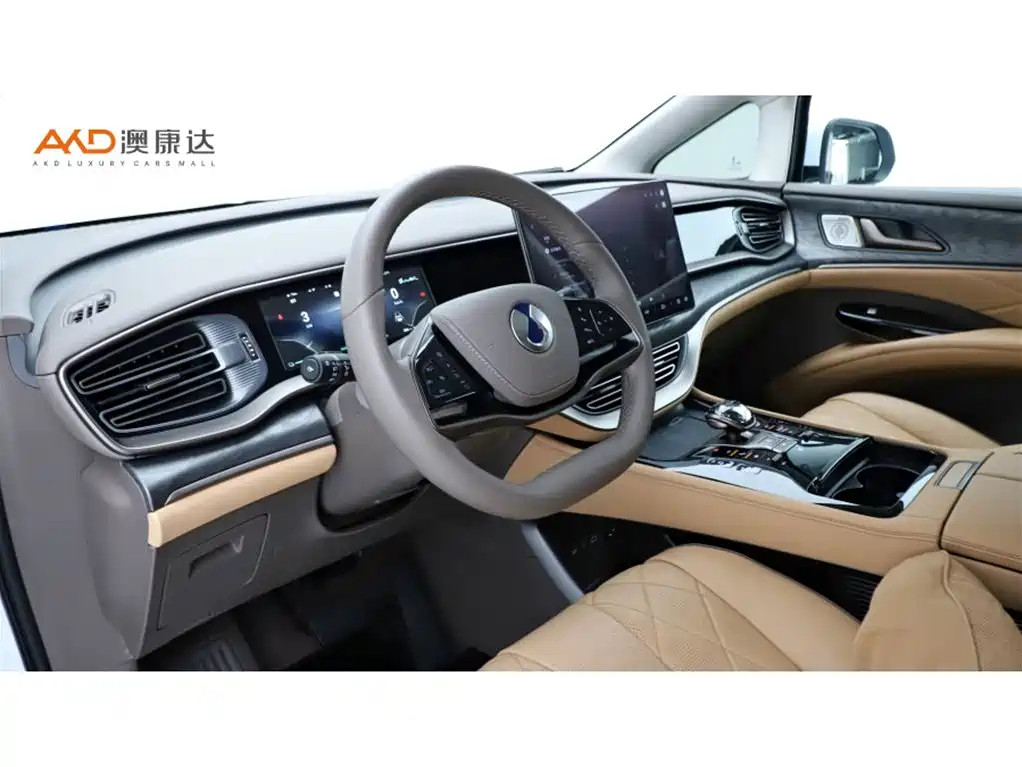 Denza D9 腾势D9/1.5 T/22款/DM-i 1040尊贵型