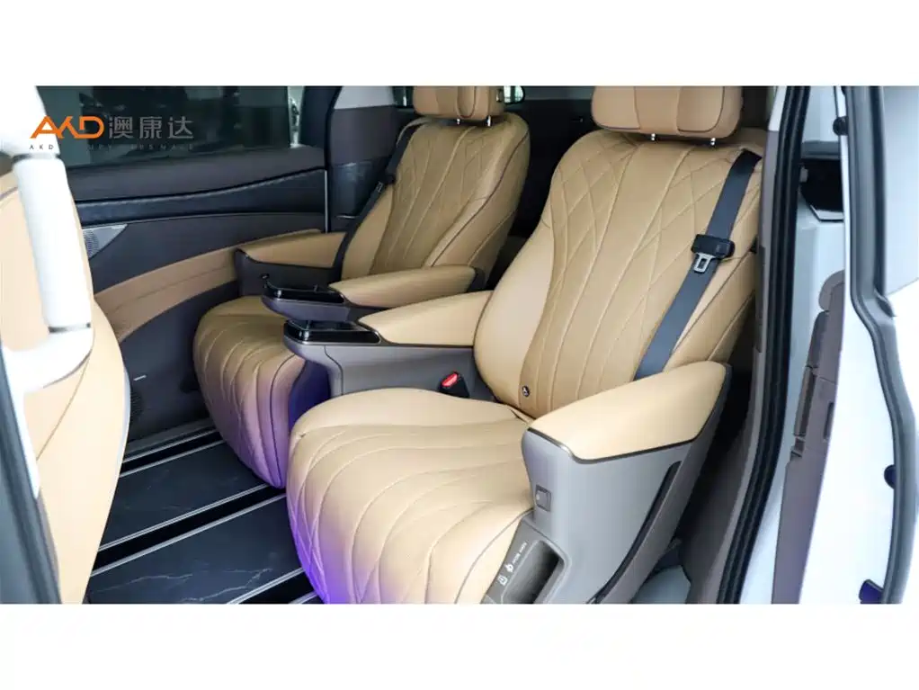 Denza D9 腾势D9/1.5 T/22款/DM-i 1040尊贵型