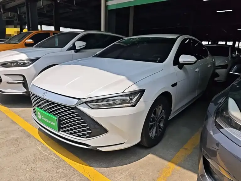 BYD Qin PLUS Champion DM-i 55 KM Leading