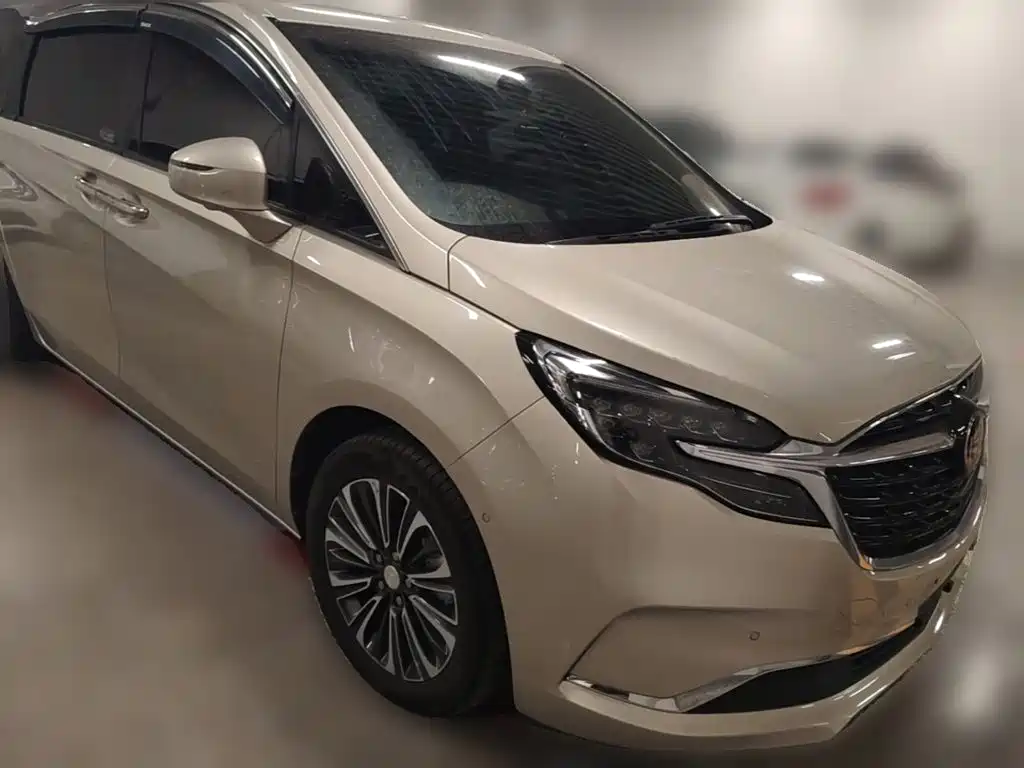 Buick GL8 ES LaCrosse 653 T Luxury