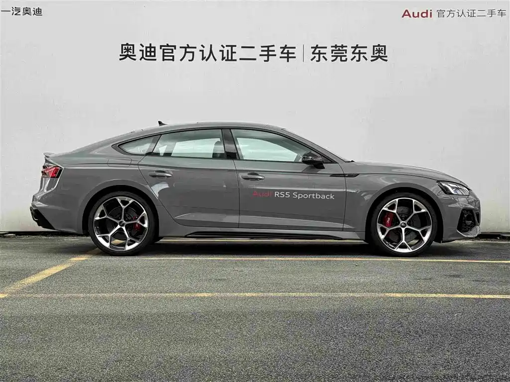 Audi RS 5 RS 5 2.9 T Sportback Ignite Engine