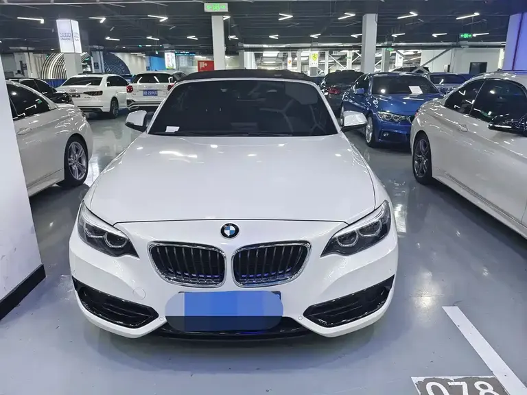 BMW 2 Series (Import) 220 i Convertible Coupe Sport Design Package