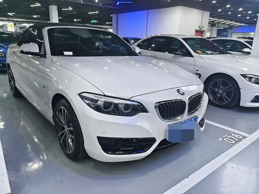 BMW 2 Series (Import) 220 i Convertible Coupe Sport Design Package