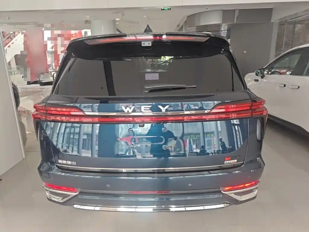 WEY Blue Mountain 4 WD Max