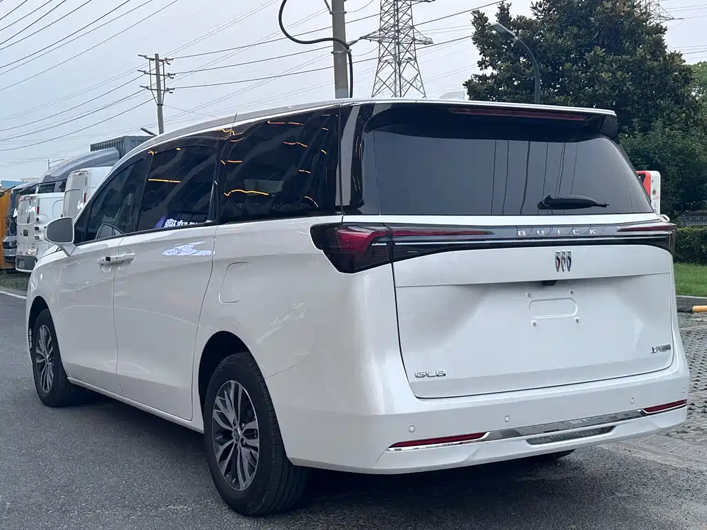 Buick GL8 Land Official Cabin Early Enjoyment
