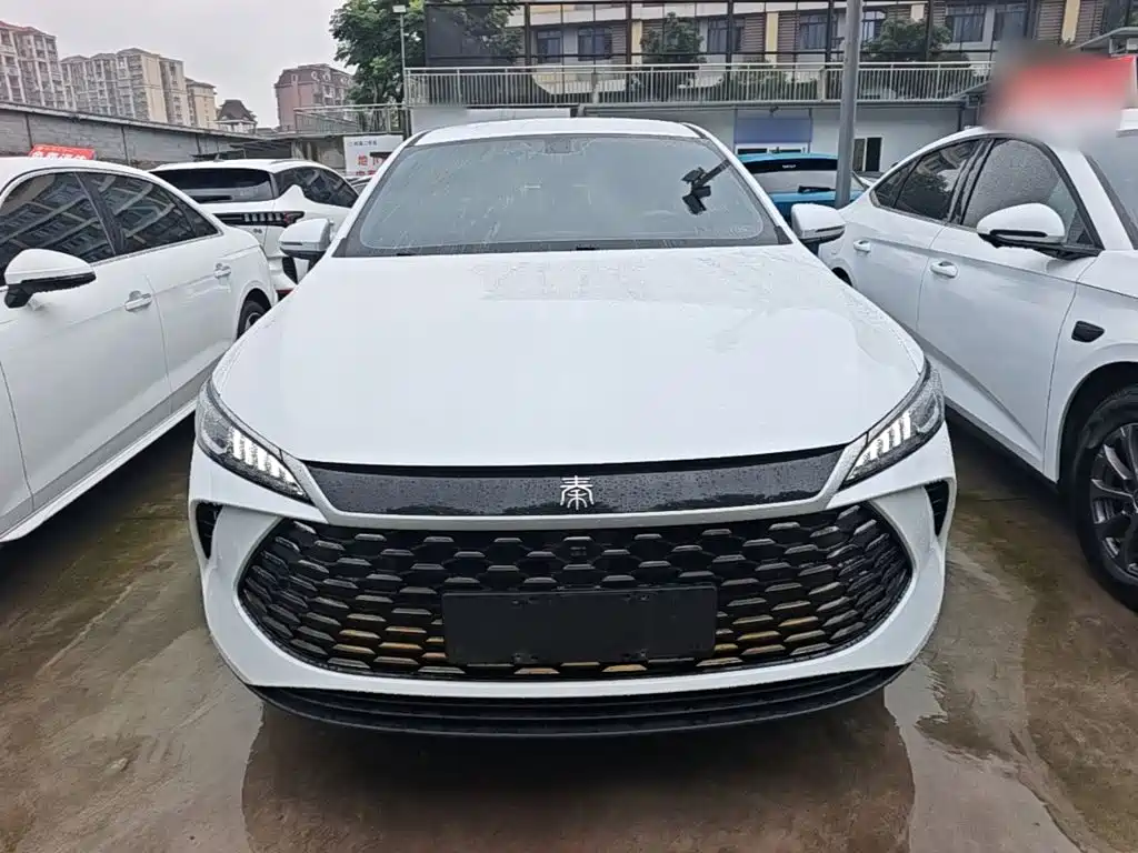 Qin PLUS DM-i Smart Drive 55 KM Leading