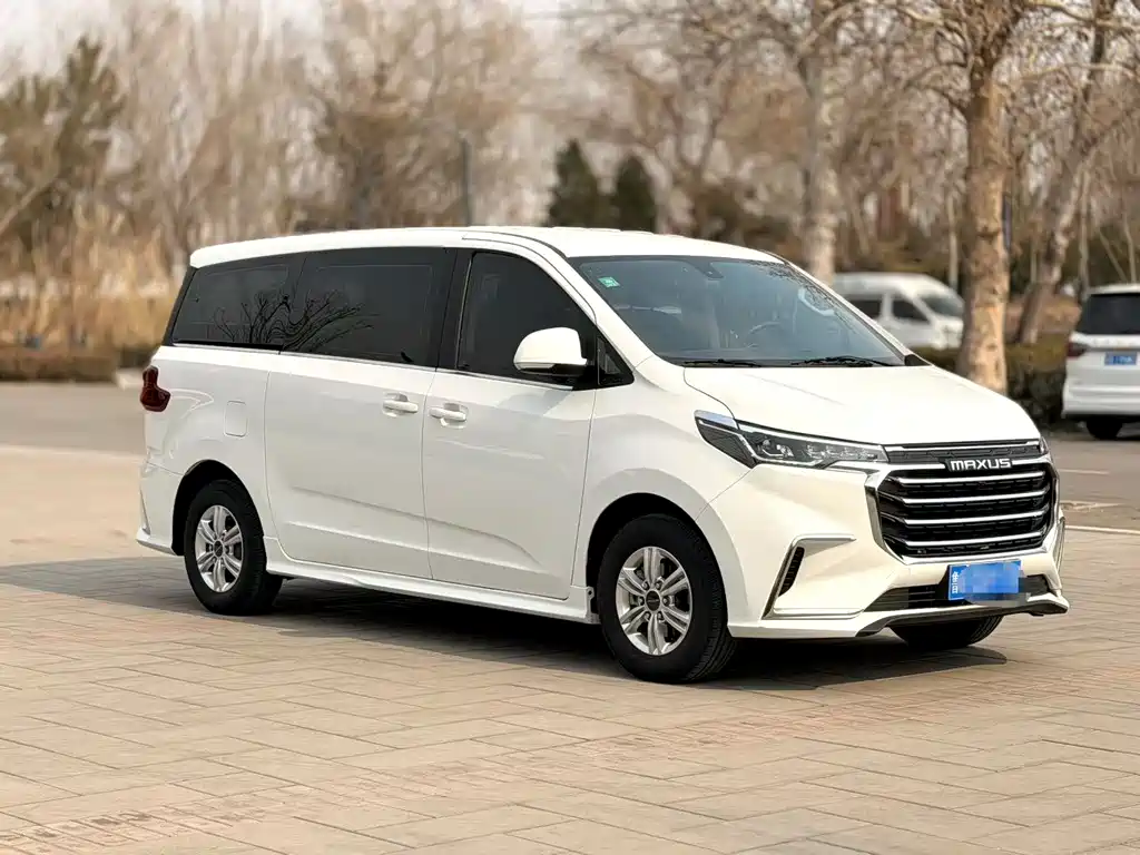 Maxus G20 ES 2.0 T Gasoline Auto Value