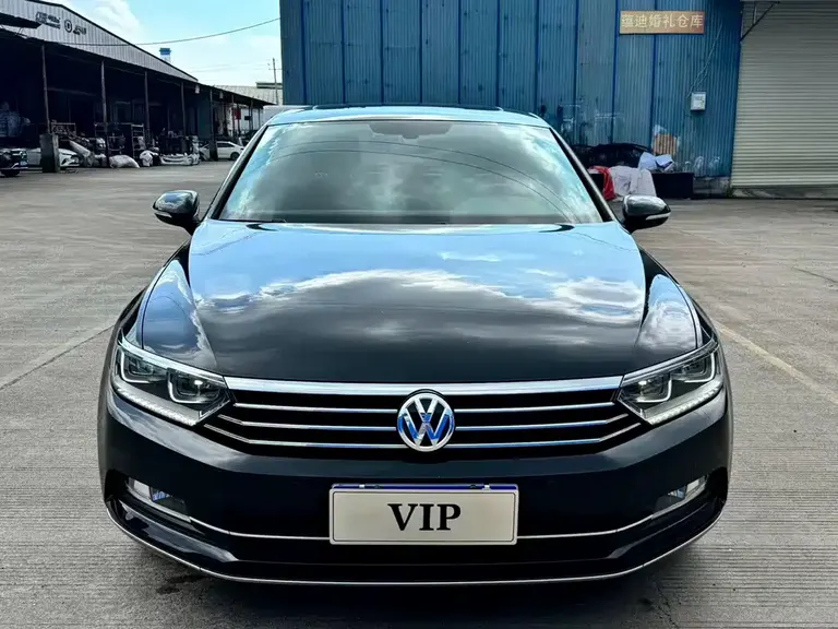 Volkswagen Magotan 330 TSI DSG Luxury CN-VI