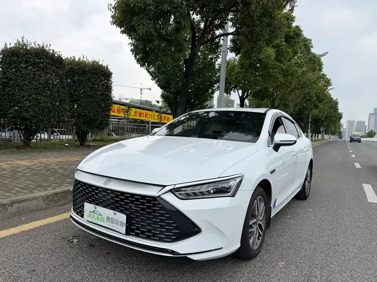 BYD Qin PLUS Champion DM-i 120 KM Transcend