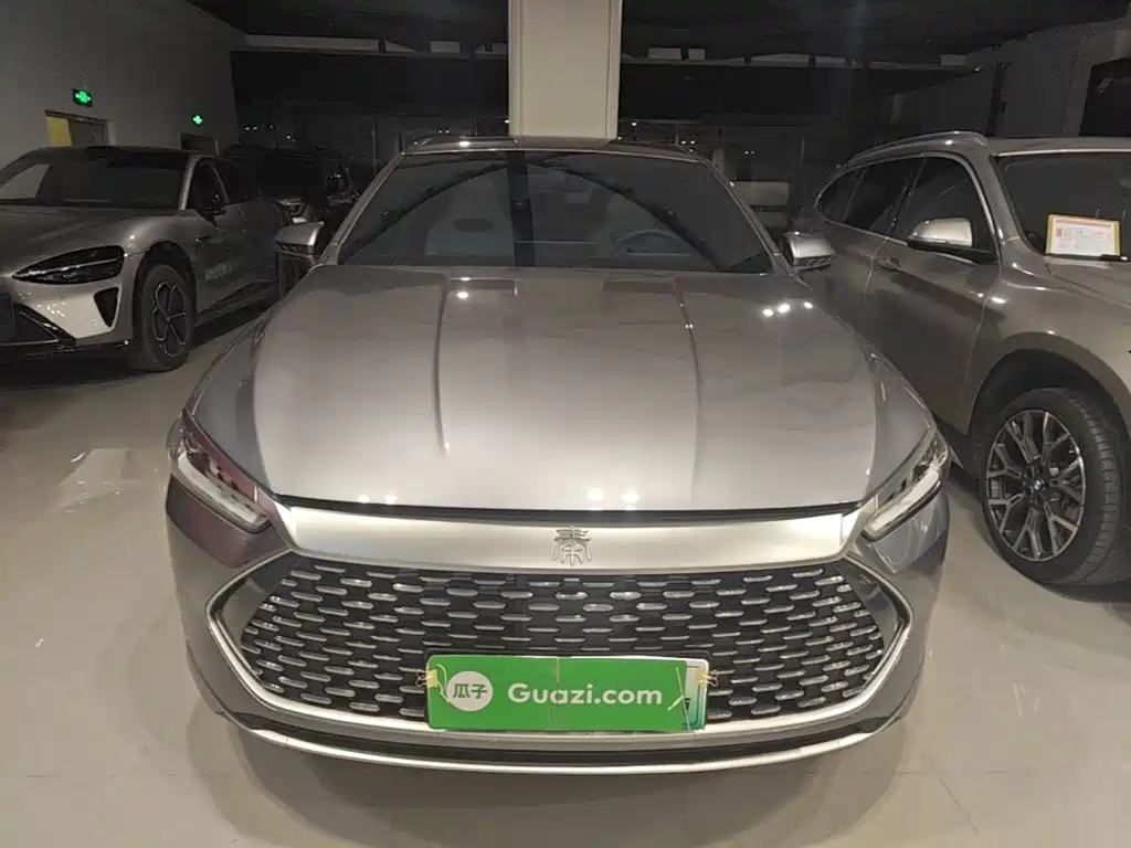 Qin PLUS Champion DM-i 120 KM Transcend