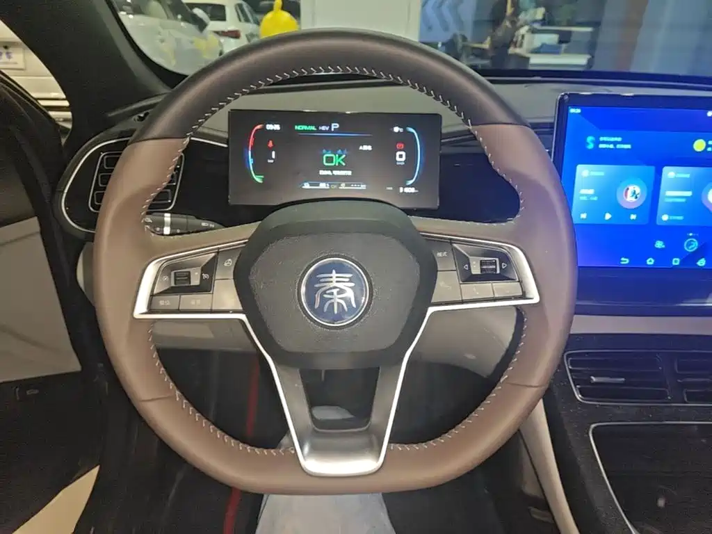Qin PLUS Champion DM-i 120 KM Transcend