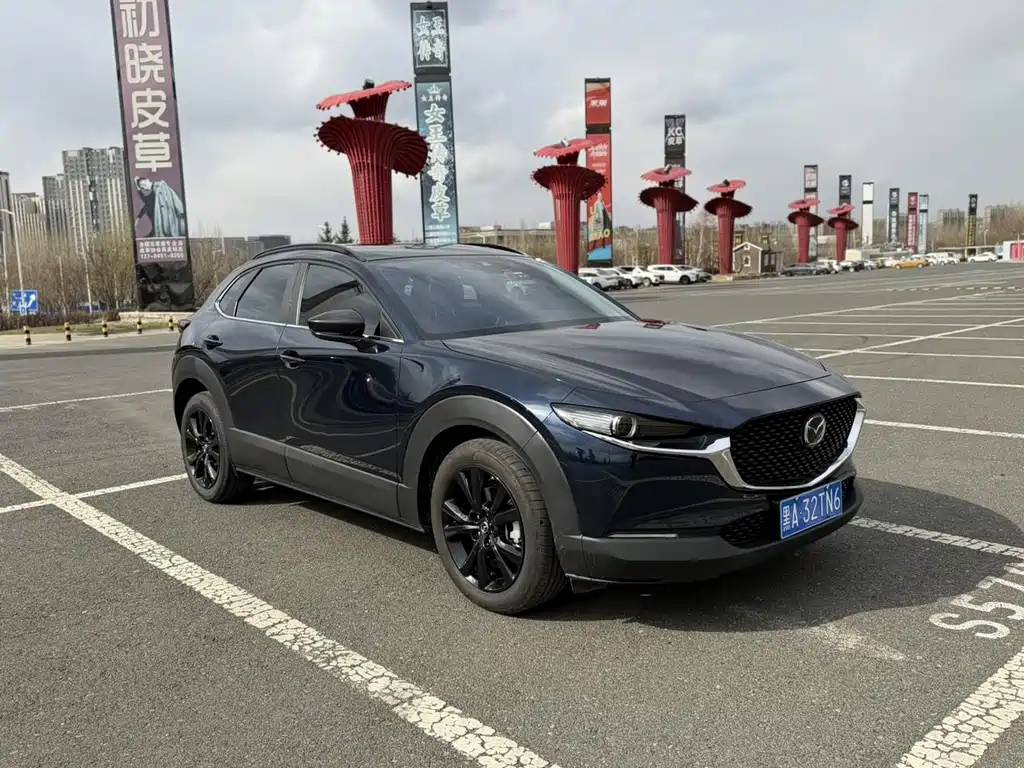 Mazda CX-30 2.0 L Auto Elegant Joy