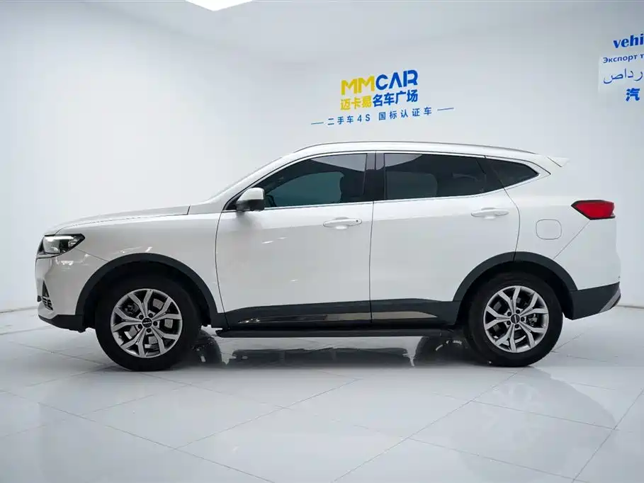 Haval H6 China Style 1.5 T Auto Champion