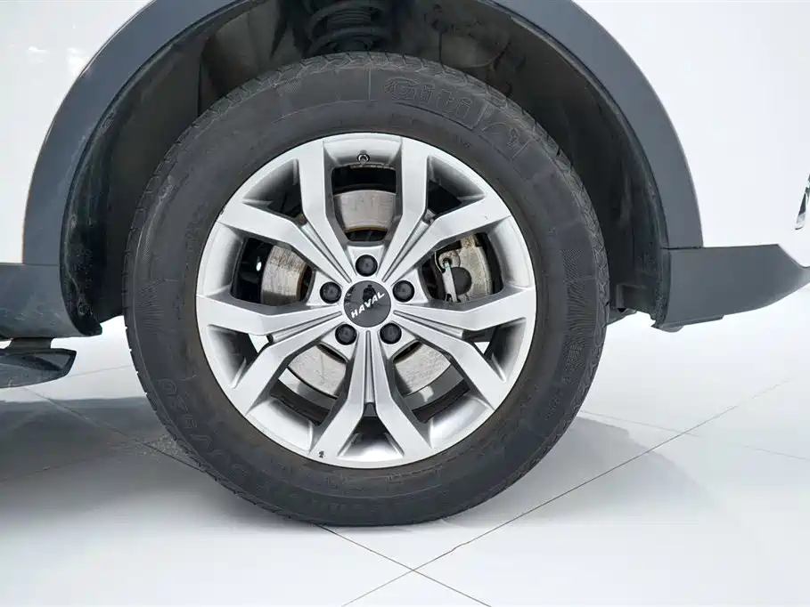 Haval H6 China Style 1.5 T Auto Champion