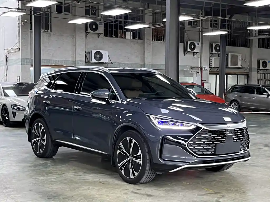 Tang NEV DM-p 215 KM 4 WD Flagship