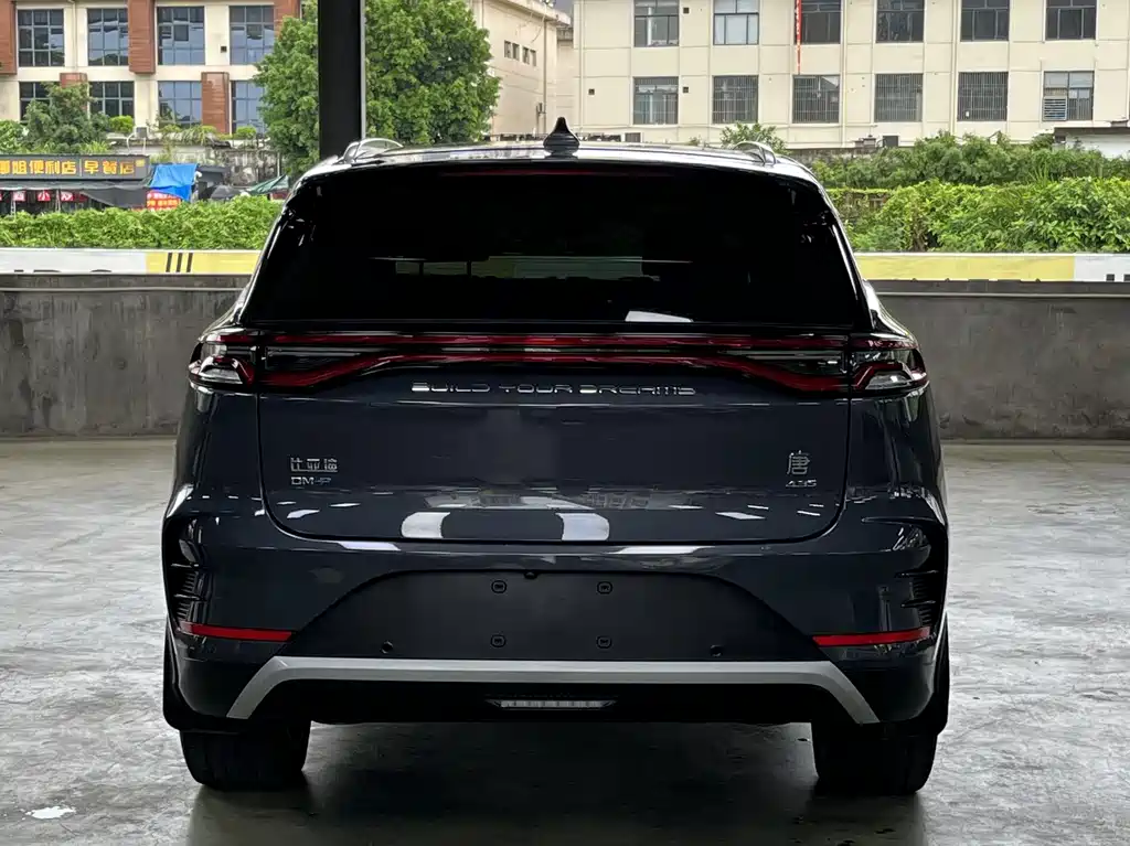 Tang NEV DM-p 215 KM 4 WD Flagship