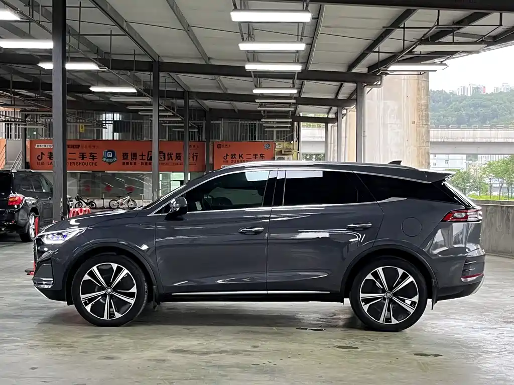 Tang NEV DM-p 215 KM 4 WD Flagship