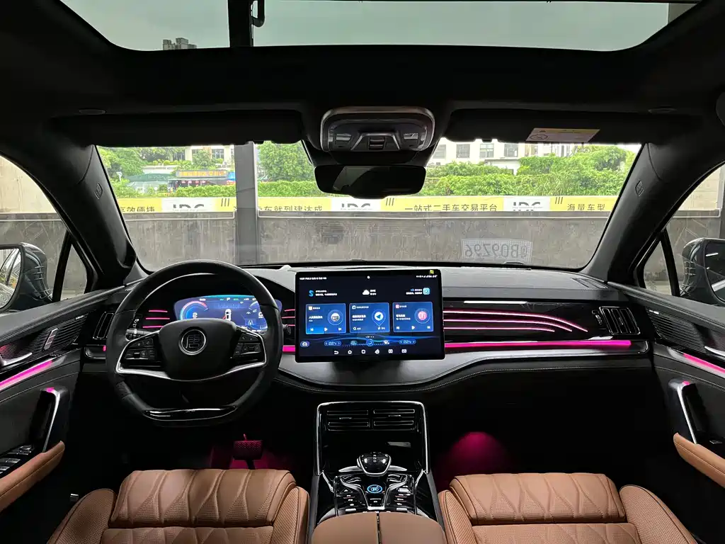 Tang NEV DM-p 215 KM 4 WD Flagship