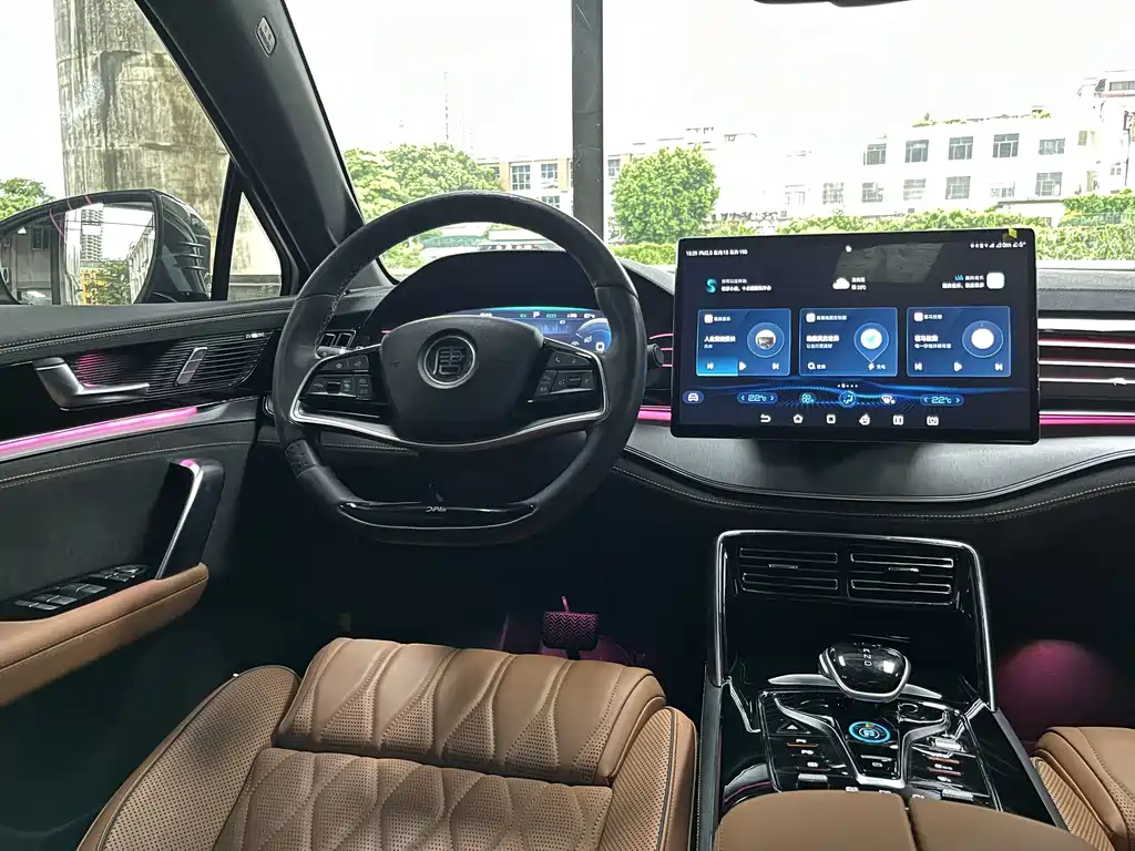 Tang NEV DM-p 215 KM 4 WD Flagship