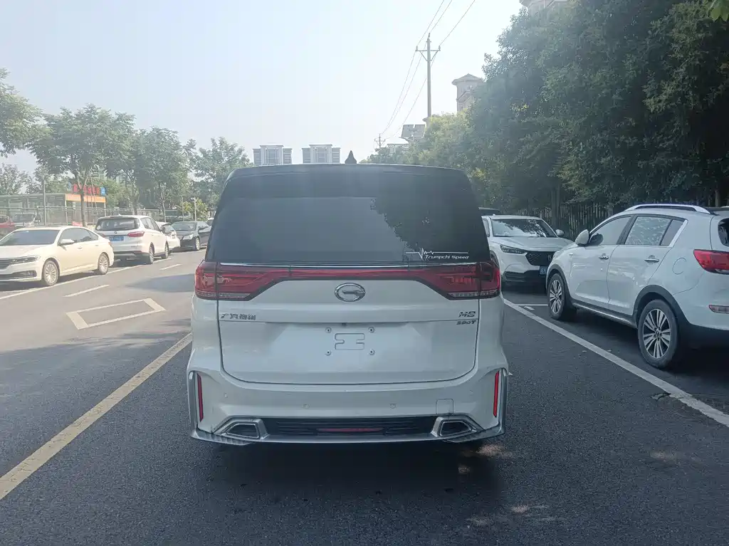 GAC Trumpchi M8 Master Series 390 T Distinguished