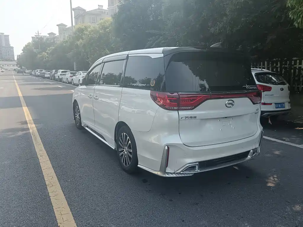 GAC Trumpchi M8 Master Series 390 T Distinguished